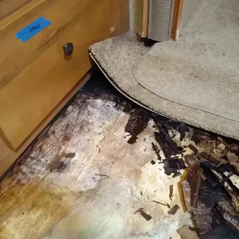 Wood Floor Water Damage in Oak Park, IL